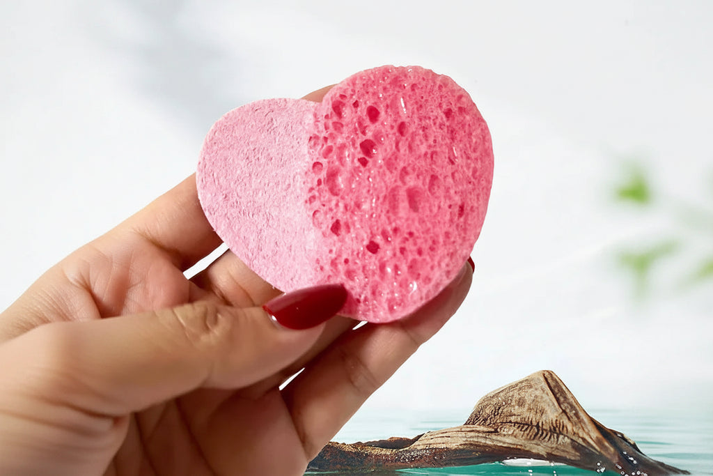 Éponges Visage Compressées en Cellulose – Lot de 10 | Nettoyage & Exfoliation Douce